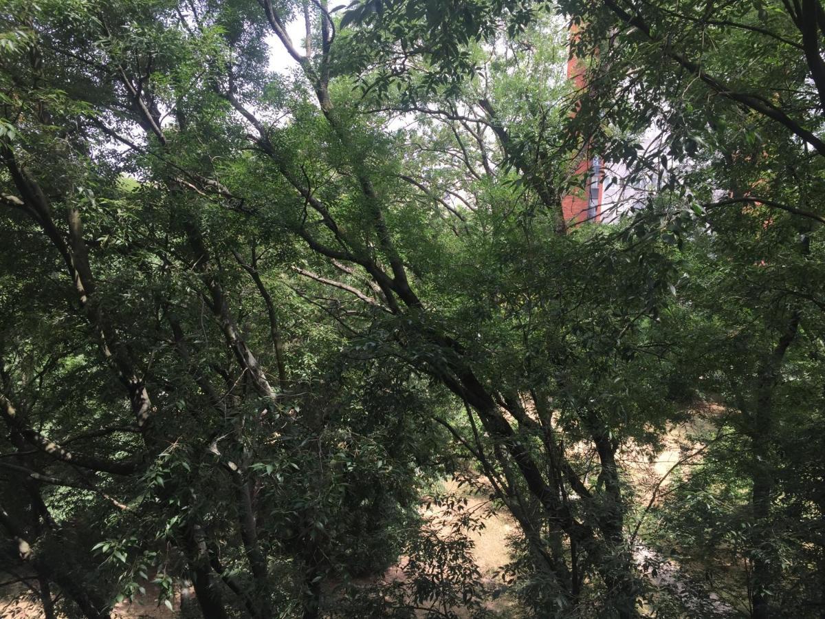 Apartment Ljiljana Beograd Eksteriør billede